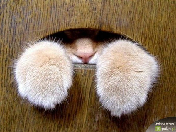 Ирина Верхотурова