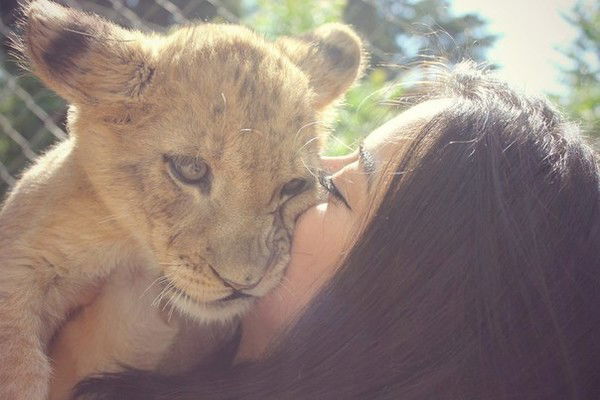 Н. Межидова