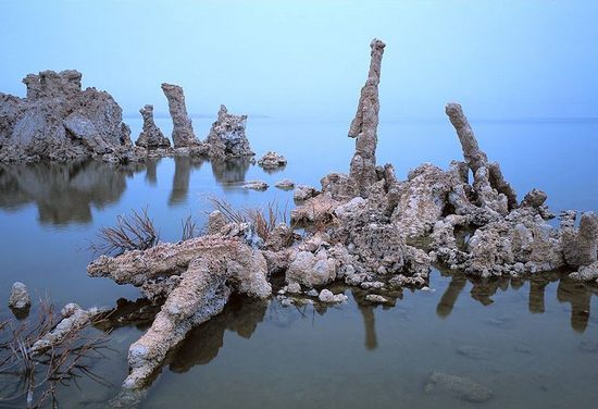 Татьяна Сидорова