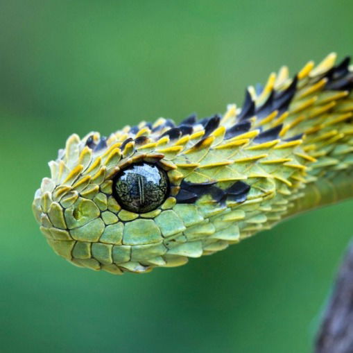 Дмитрий Лычагов