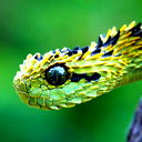 Дмитрий Лычагов