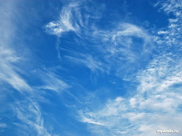 Елена Сычина