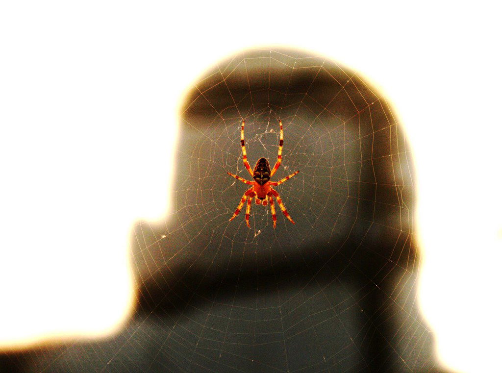 Сергей Дворников