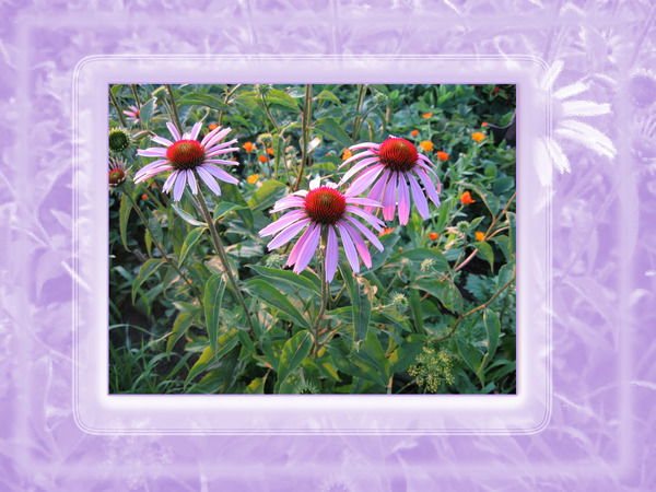 Физалия Зарипова