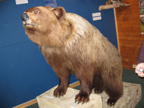 Владимир Зозуля