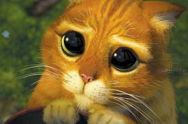 Игрун Шаловливый