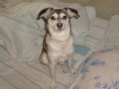 Яна Величко