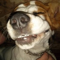 Александр Москалев