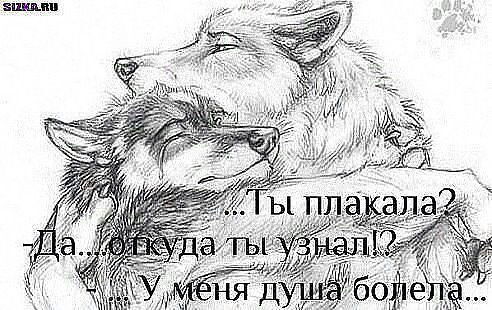 Дамира Чалданбаева