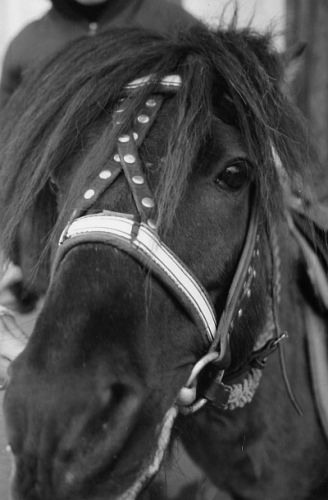 Маша Поливанова