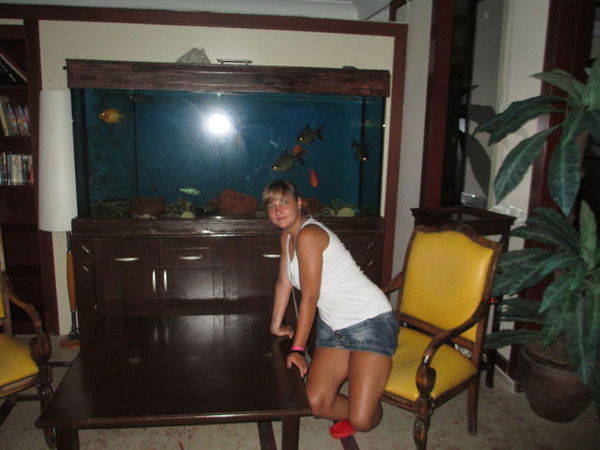 Дмитриева Ирина