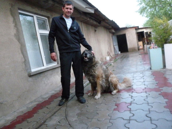 Антон Челноков