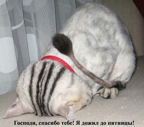 Сергей Аникеенко