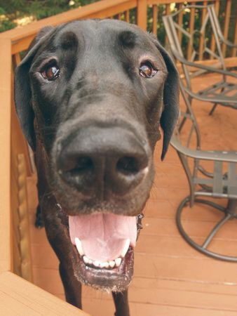 Валерия Ярошенко