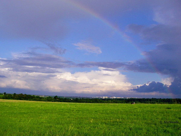 Надежда Горохова