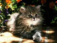 Ольга Иванова