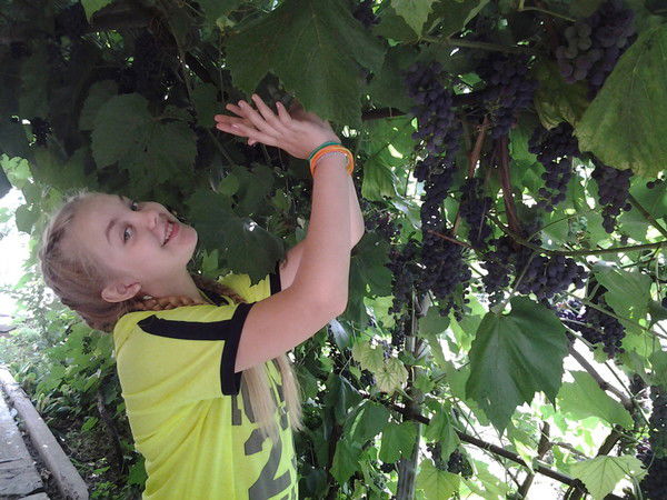 Самая Лучшая Девочка