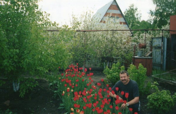 Владимир Перфильев