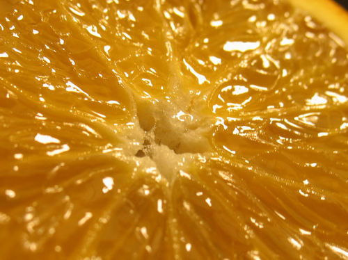 Юлия Рябенко