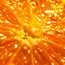 Юлия Рябенко