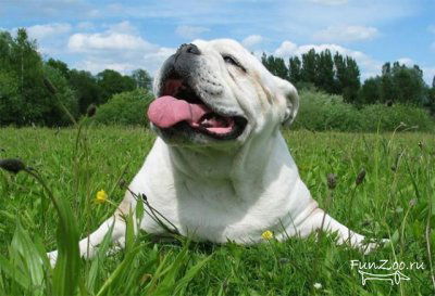 Неизвестно Неизвестно