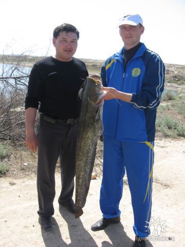 Ескабыл Балабаев