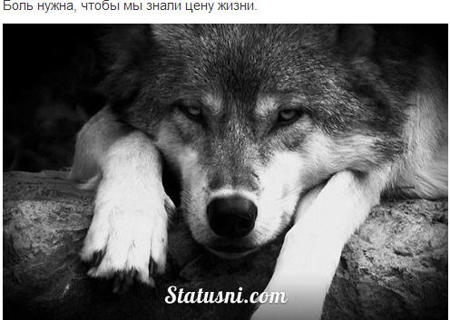 Виталий Завьялов