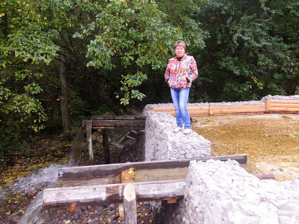 Елена Ерышева