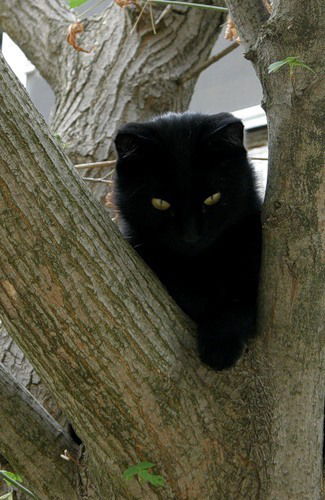 Наталия Дмитриева