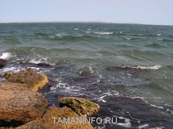 Елена Корюкова