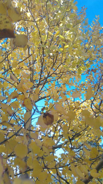 Валихан Сулейманов