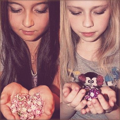 Лена Митрофанова