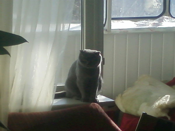 Петр Квасов