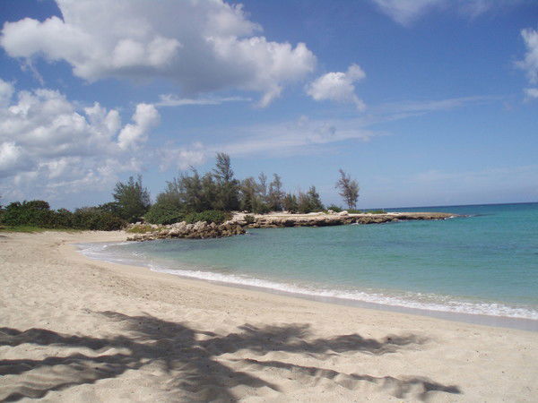 Александр Фомин