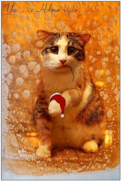 Надежда Мунтян