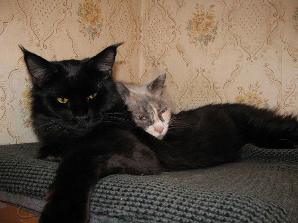 Наташа Сидякова