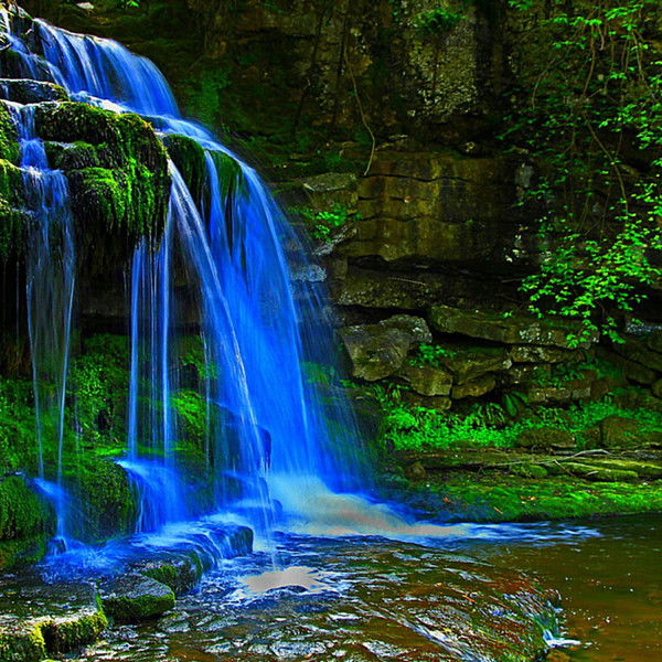 Евгений Камалов