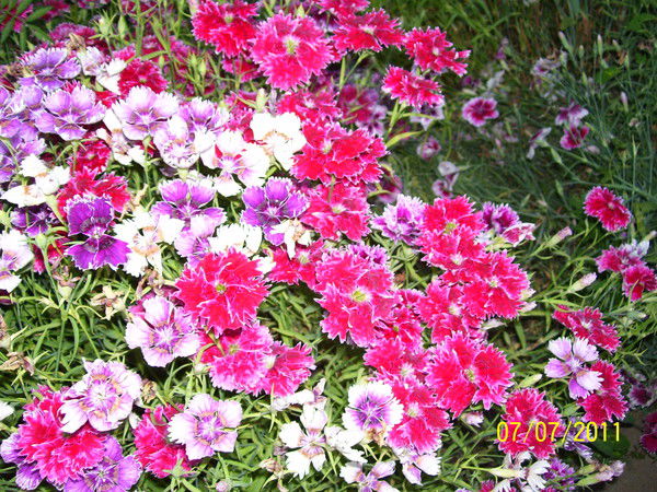 Евгения Логинова