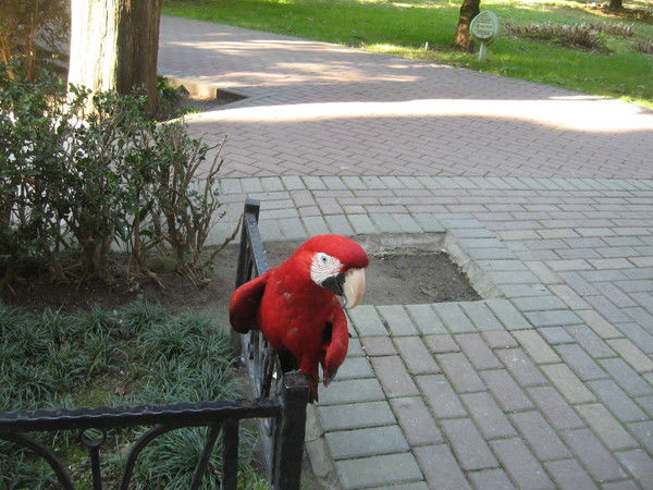 Елена Худякова