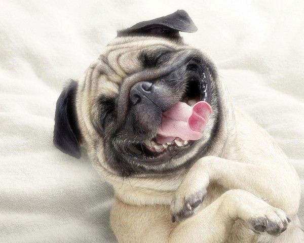 Галина Прокопенко