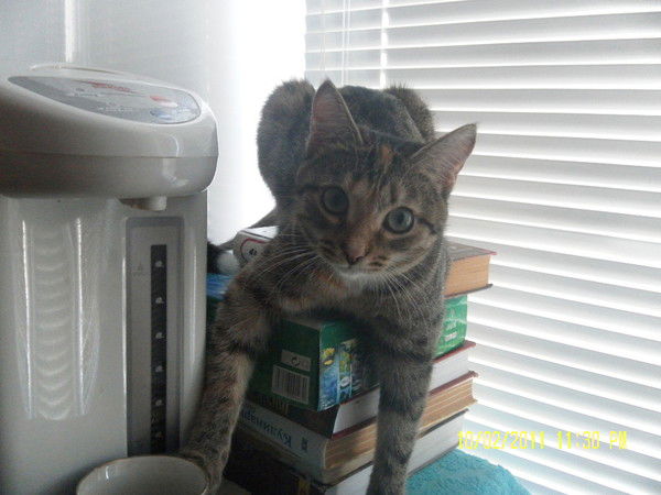 Марина Тарасова