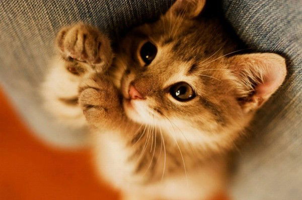 Марина Фурман