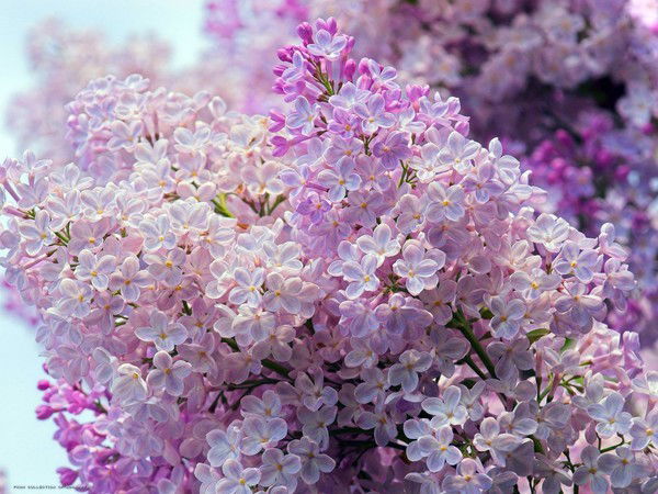 Евгения Кузнецова