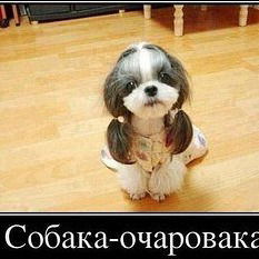 Рита Округина