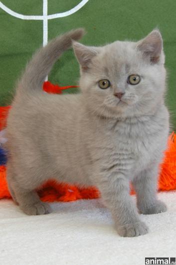 Валентина Сигаева