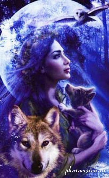 Елена Волченко