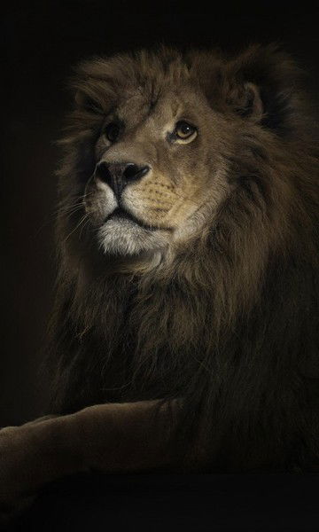 Сманов Бауыржан