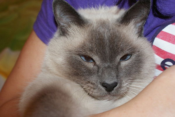 Наташа Сидорова