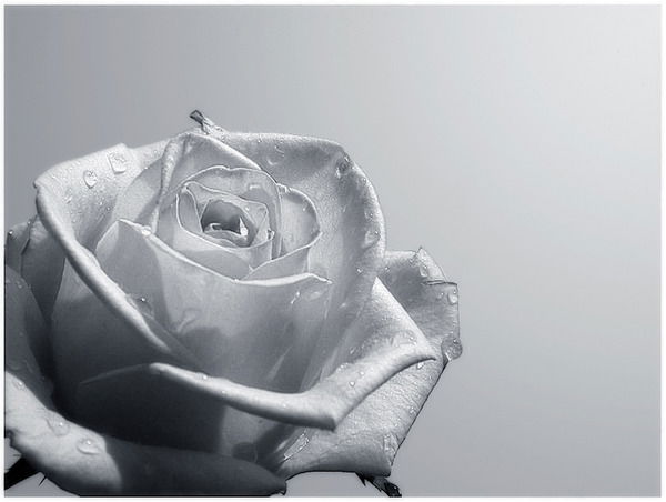 Евгений Пустовалов