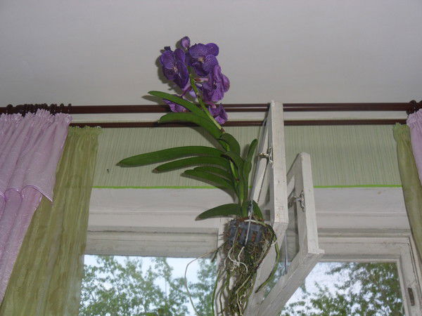 Татьяна Шмакова